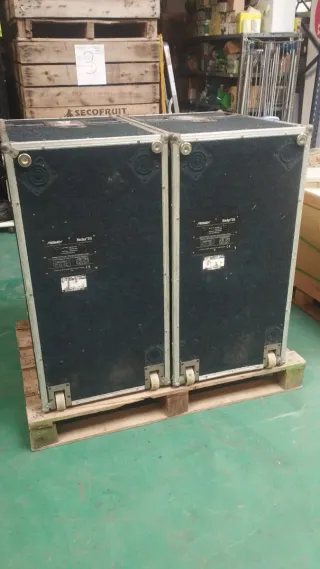 Peavey Maxsys 215 Subgrave