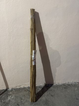 Canne di bambù per decorazione o giardino