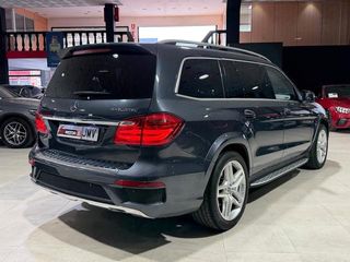 Mercedes-Benz Clase GL GL 350 BlueTec 4Matic 190 kW (258 CV)