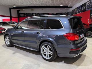 Mercedes-Benz Clase GL GL 350 BlueTec 4Matic 190 kW (258 CV)