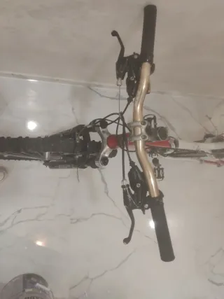 Bicicleta de montaña