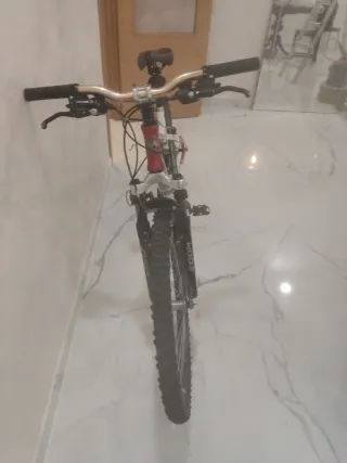 Bicicleta de montaña