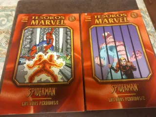 Spiderman - los años perdidos 1 y 2