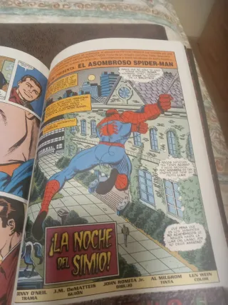 Spiderman - los años perdidos 1 y 2