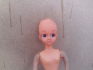 muñeca chabel modelo corta y peina o maquillaje, d