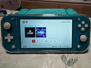 Nintendo Switch Lite y protecciones