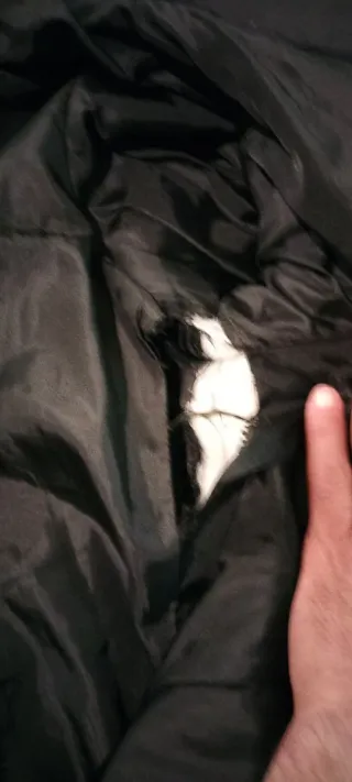 Sudadera Zara con capucha.