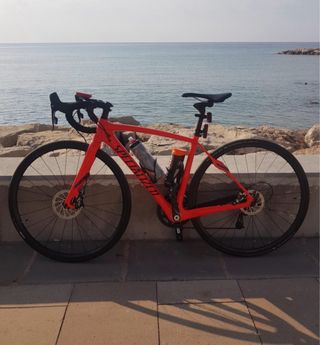 Specialized Roubaix Bicicleta de Carretera