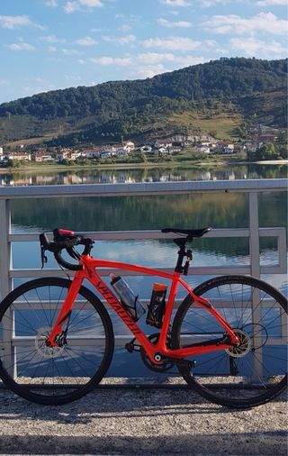 Specialized Roubaix Bicicleta de Carretera