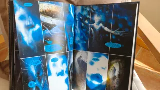 Batman: Arkham Asylum, Edición Absolute (Spanis...