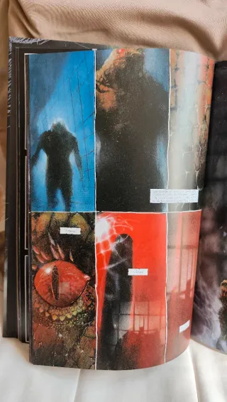 Batman: Arkham Asylum, Edición Absolute (Spanis...