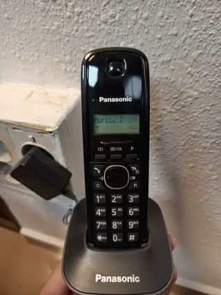 Teléfono Inalámbrico Dúo Panasonic KX-TG1611SP