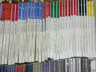 Lote novelas del Oeste