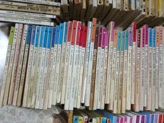 Lote novelas del Oeste