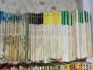 Lote novelas del Oeste