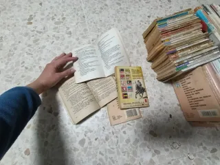 Lote novelas del Oeste