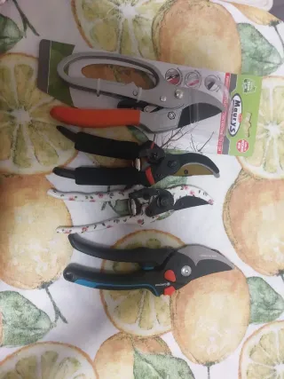 Forbici da giardinaggio Maury's