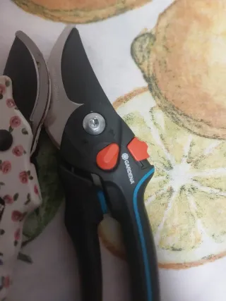 Forbici da giardinaggio Maury's