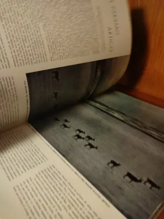 Enciclopedias LIFE (4 tomos)