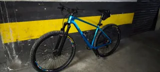 Bici MTB ICE MT-10 DE CARBONO (Antigua Lobito)