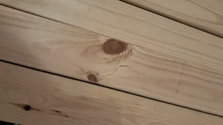 Cama nido blanca madera y dos colchones