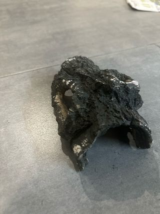 Pecera 20L con accesorios