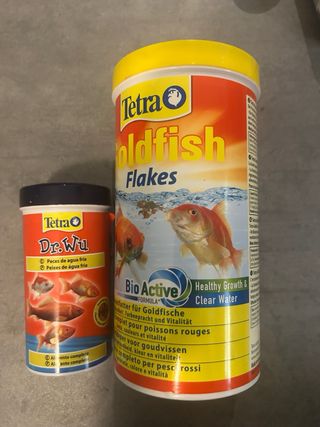 Pecera 20L con accesorios