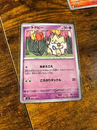 Cartas Pokémon con funda protectora