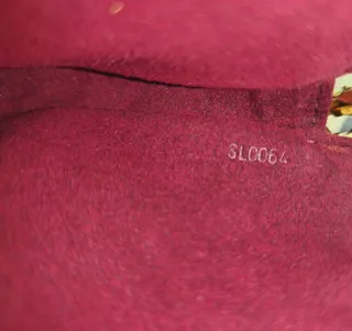 Bolso Louis Vuitton Multicolor