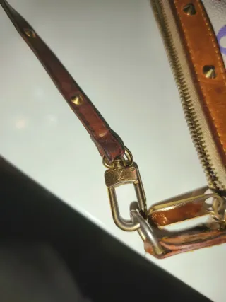 Bolso Louis Vuitton Multicolor