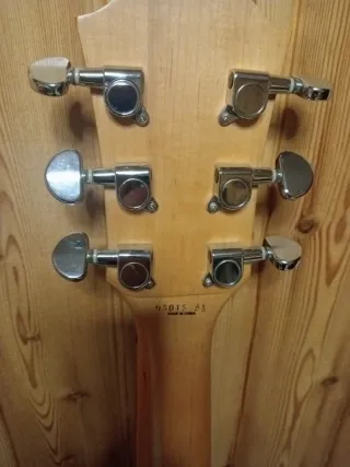 Washburn WI14 Guitarra Eléctrica Negra