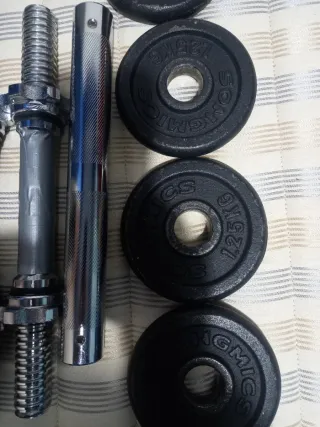 Mancuernas 20 kg con discos y barras