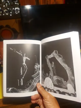 VIVENCIAS Y REFLEXIONES DE UN HERMANO  MAYOR