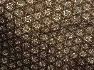 Camisa blusa manga corta tonos marrones