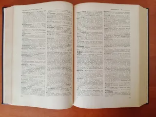 Wörterbuch der Medizin - Diccionario Medicina