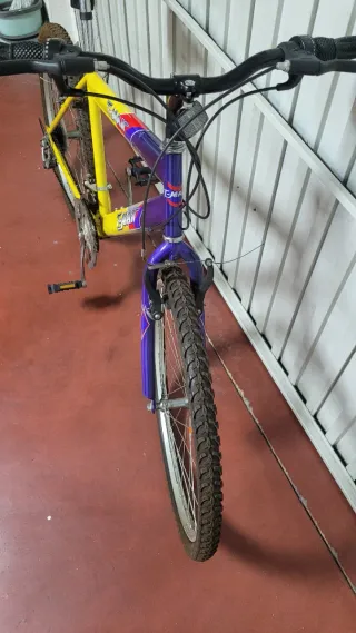 Bicicleta de montaña