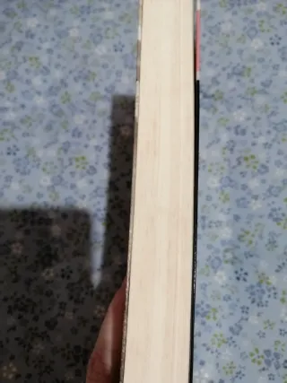 El club de los corazones solitarios