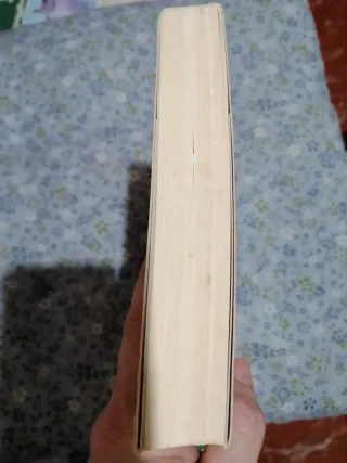 El club de los corazones solitarios