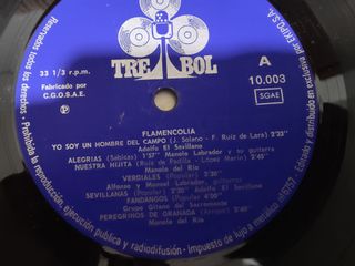 Vinilo Flamencolia Serie 10000