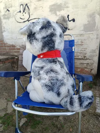Perro Peluche Grande Nuevo
