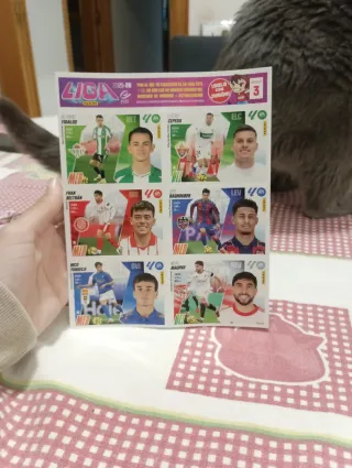 Cromos La Liga Jugón 228