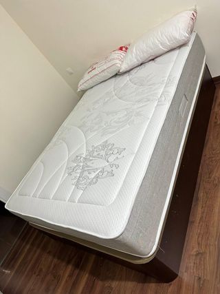 CHOLLO COLCHON 24 CM