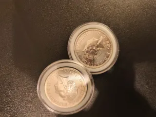 Britannia 1 oz Plata 999 2 unidades