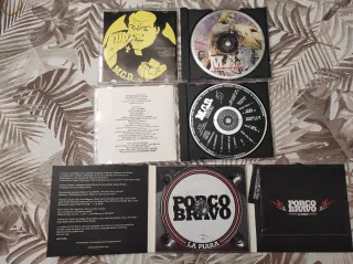 Lote 9 CDs Punk Rock
