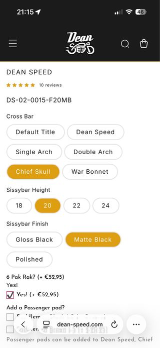 Indian Scout Bobber/Rogue Sissy Bar