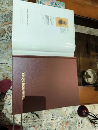 Libro Vizcaya Monumental