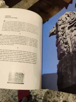 Libro Vizcaya Monumental