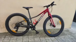 Bicicleta Trek Roscoe 24 Niños