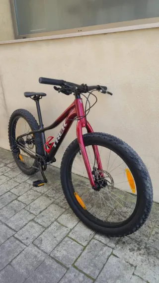 Bicicleta Trek Roscoe 24 Niños