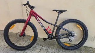 Bicicleta Trek Roscoe 24 Niños